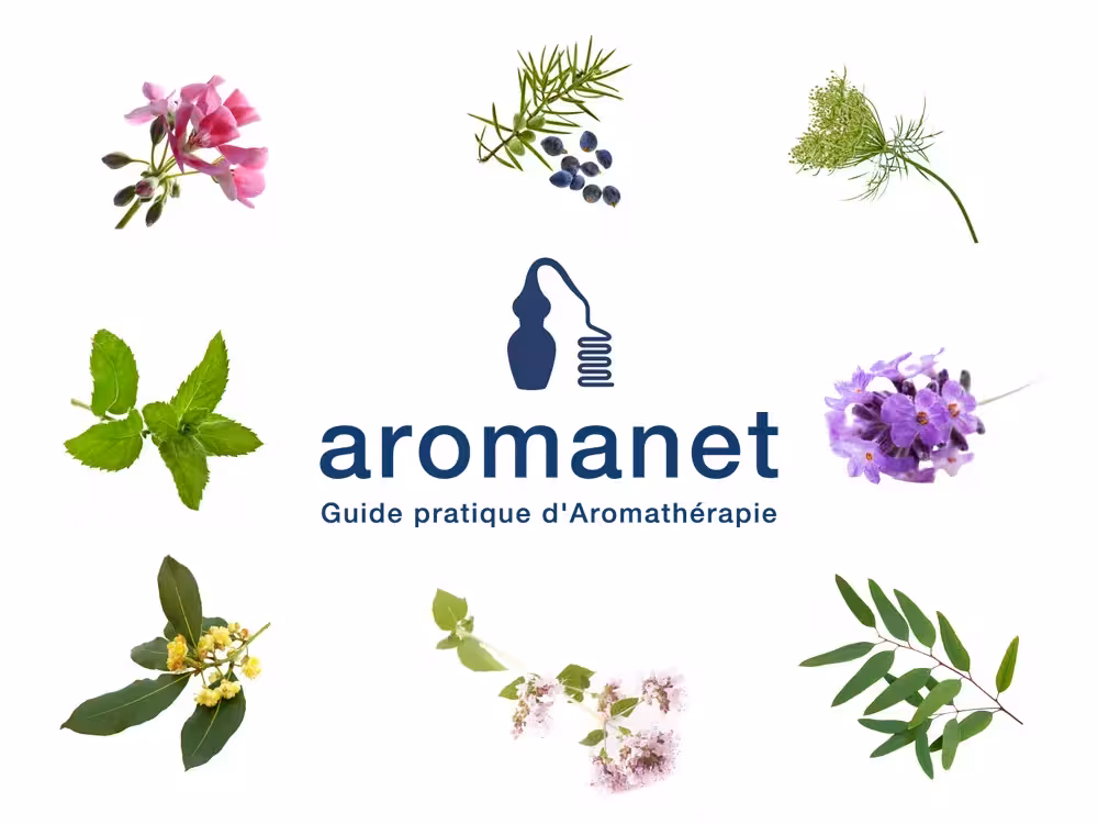 aromanet