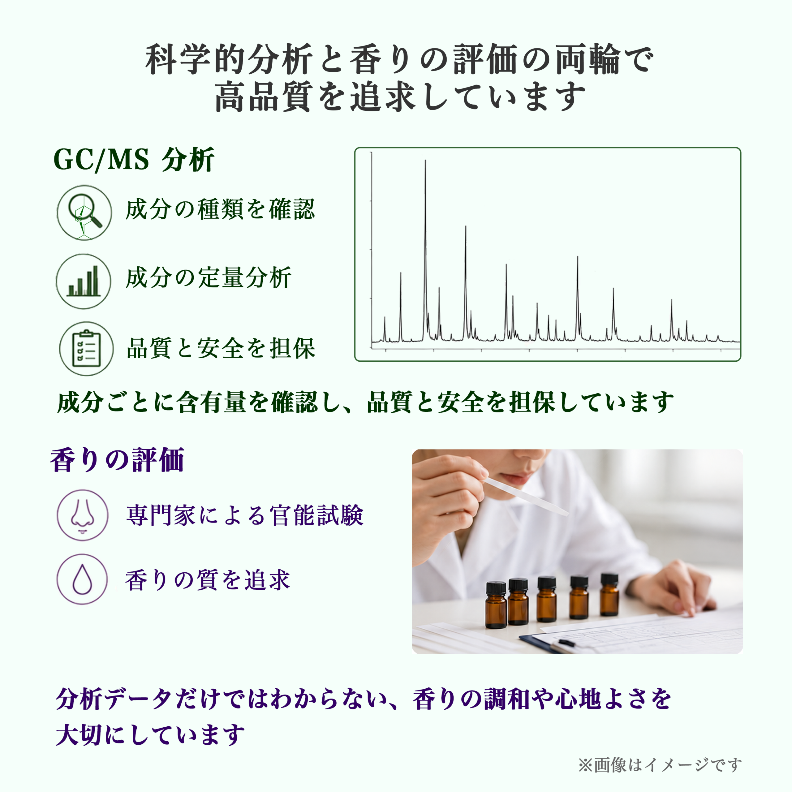 イムネオール分析と香りの評価