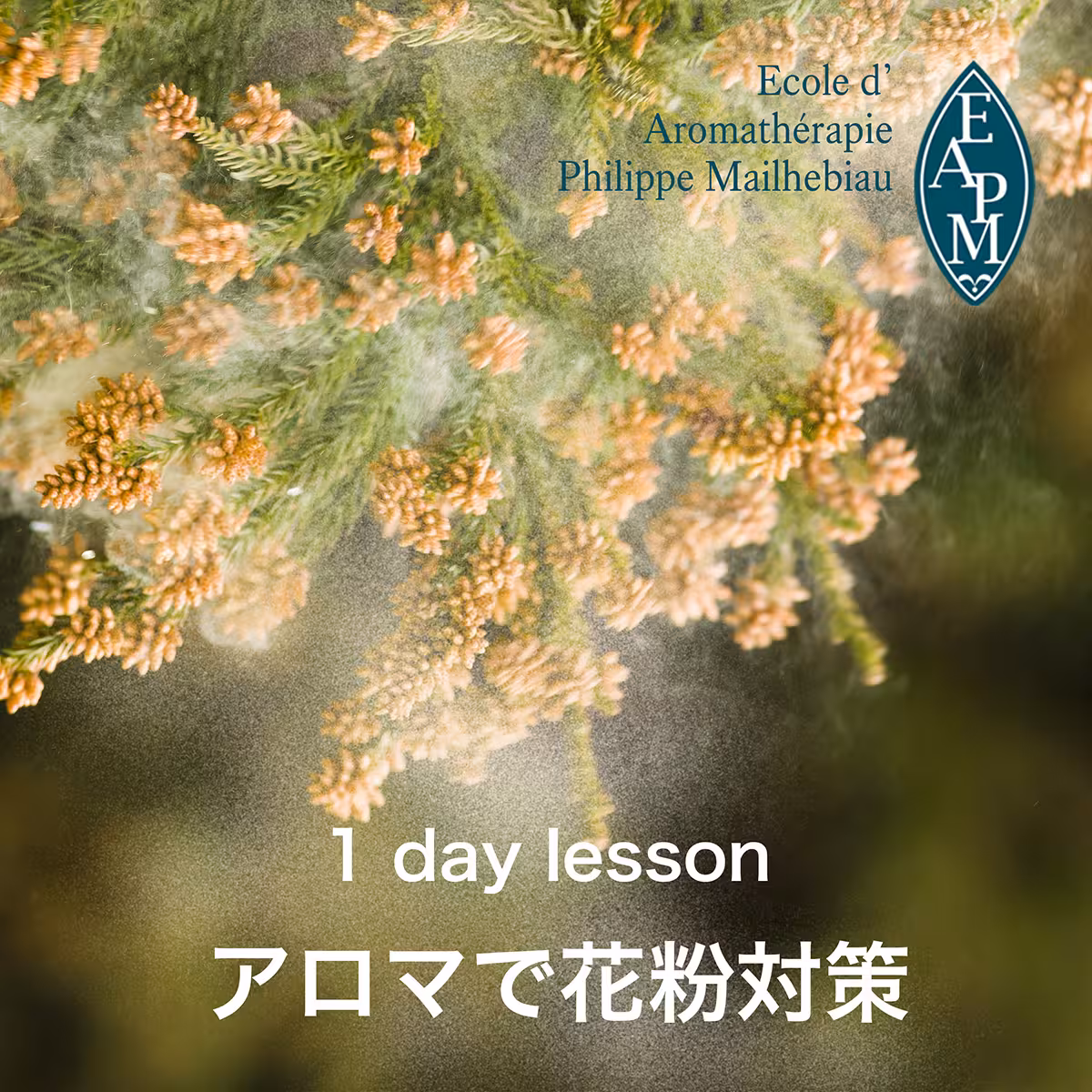 1 day lesson
アロマで花粉対策
