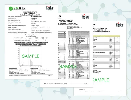 分析表閲覧はこちらから